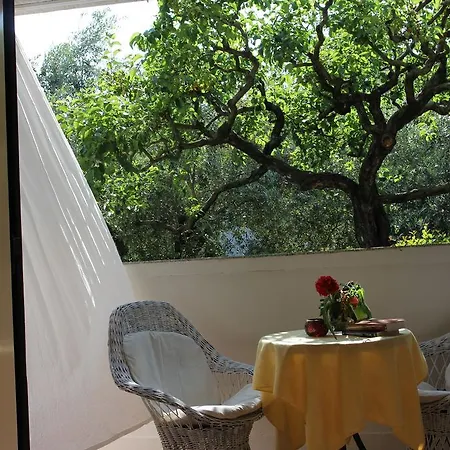 B&B Damian Rovinj